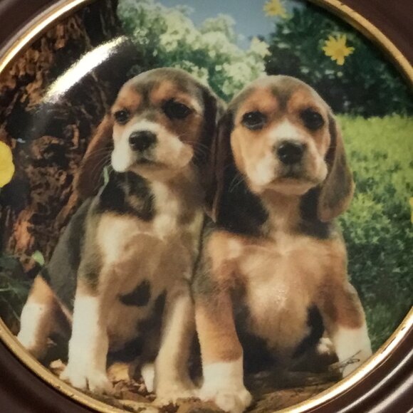 Franklin Mint  Beagles & Buttercups Limited Edition Numbered Collector's Plate - Picture 3 of 7